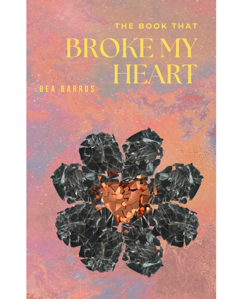 The Book That Broke My Heart E-book