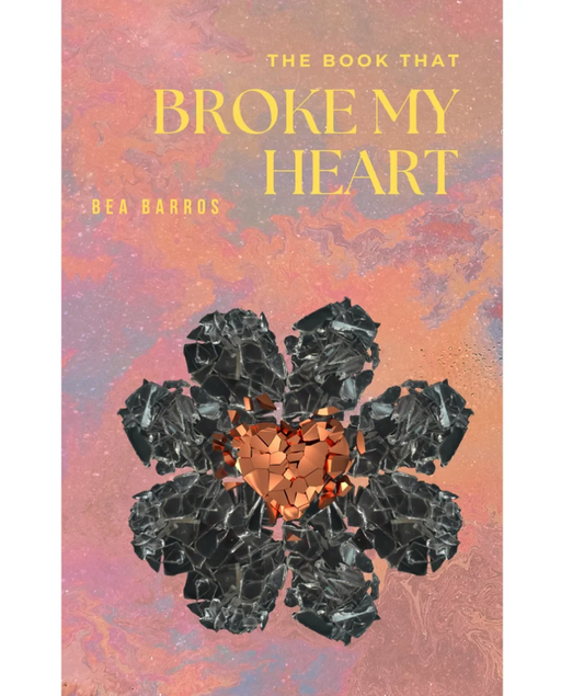 The Book That Broke My Heart E-book
